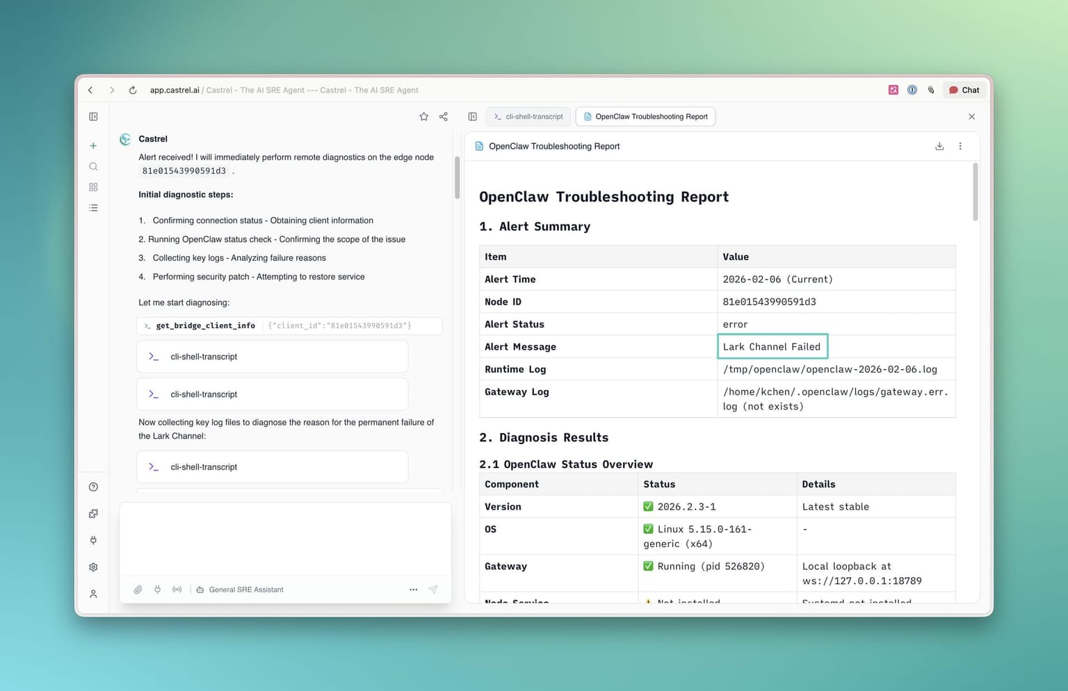 Castrel Diagnostic Report